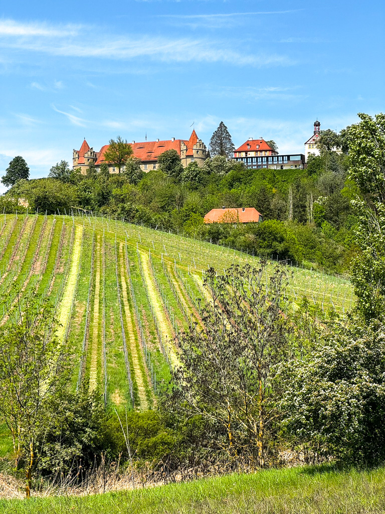 Schloss Frankenberg bei Würzburg